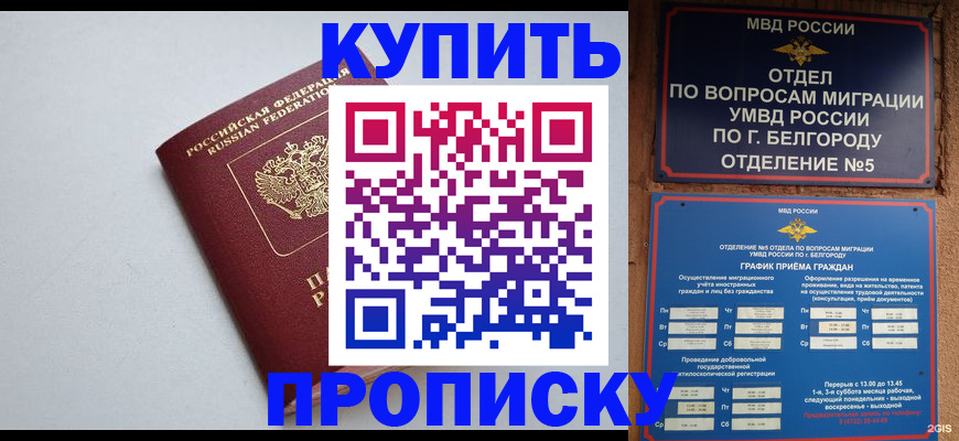 прописка регистрация в Тимашёвске